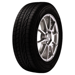 255/50R19 XL 107H GOODYEAR ASSURANCE WEATHERREADY ALL-WEATHER TIRES (M+S + SNOWFLAKE)