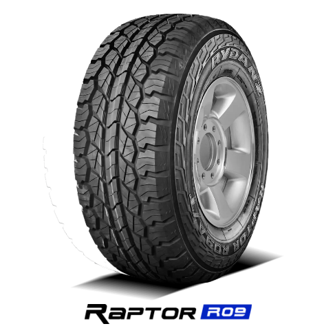 LT 285/75R16 LRE 126/123R RYDANZ RAPTOR R09 ALL-SEASON TIRES (M+S)