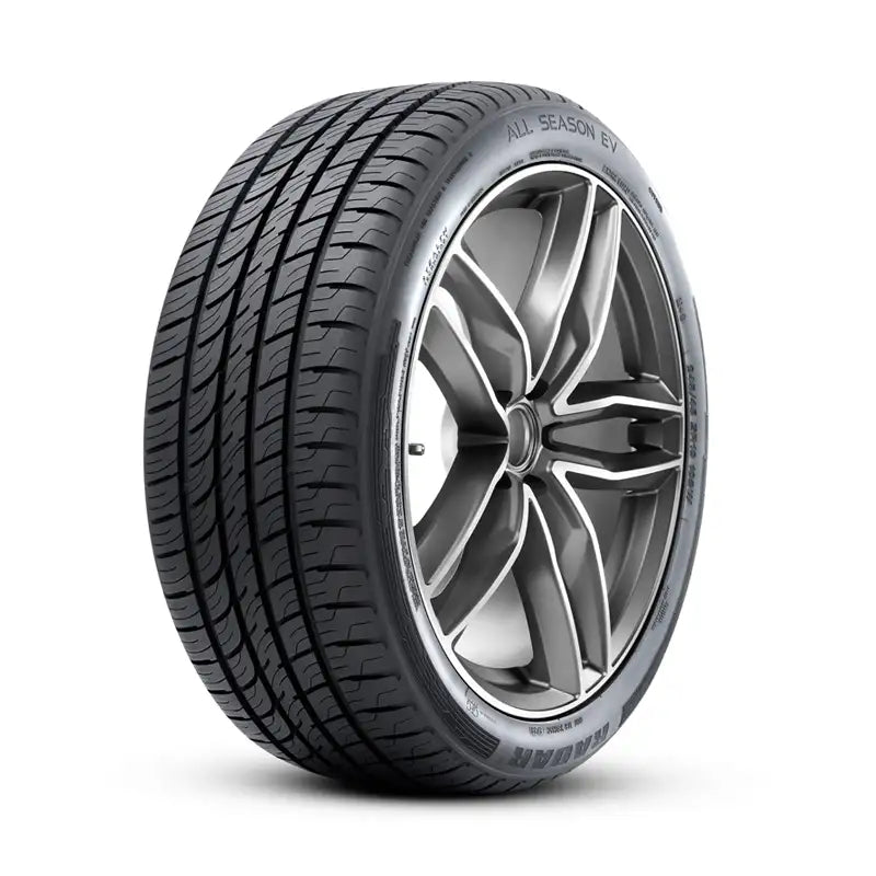 245/45R19 XL 102W RADAR ALL SEASON EV ALL-SEASON TIRES (M+S)